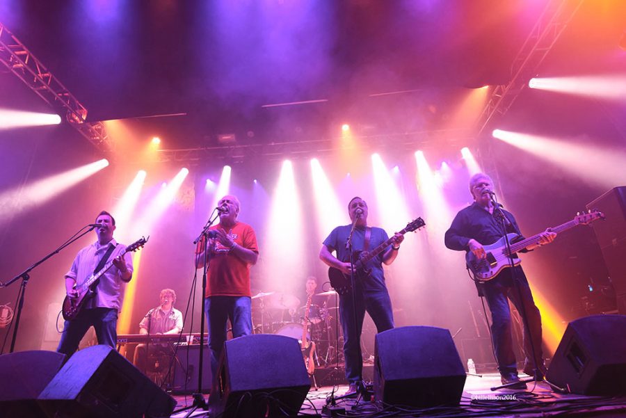 Petty Theft performing